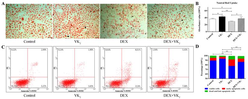 Int J Biol Sci Image