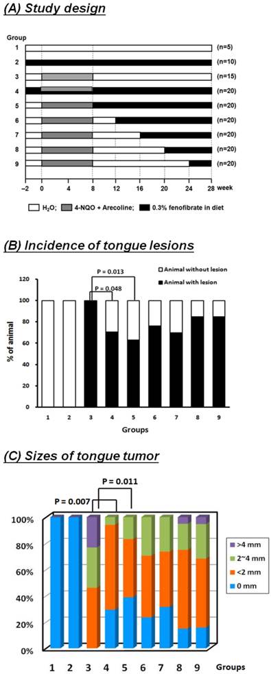 Int J Biol Sci Image