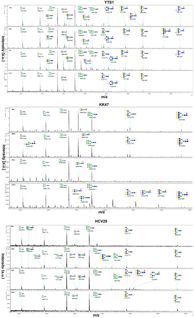 Int J Biol Sci Image