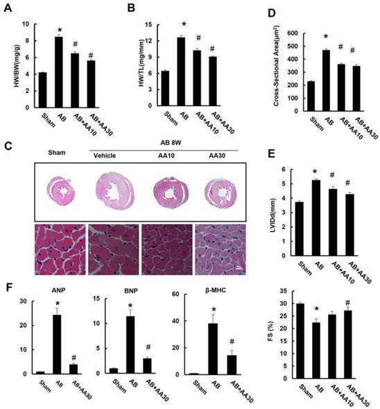 Int J Biol Sci Image