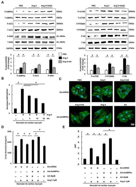 Int J Biol Sci Image