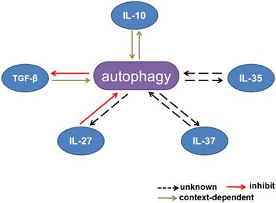 Int J Biol Sci Image