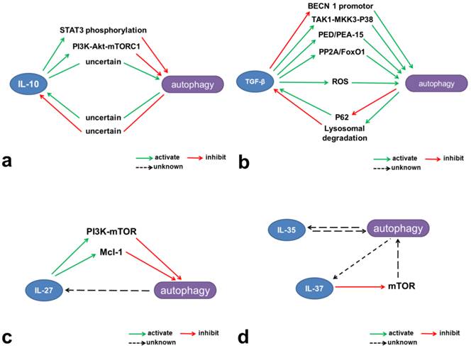 Int J Biol Sci Image