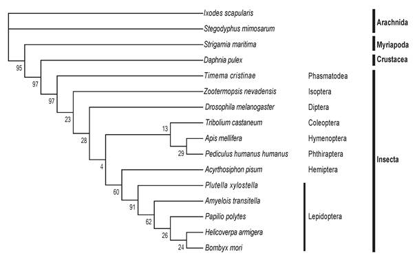 Int J Biol Sci Image