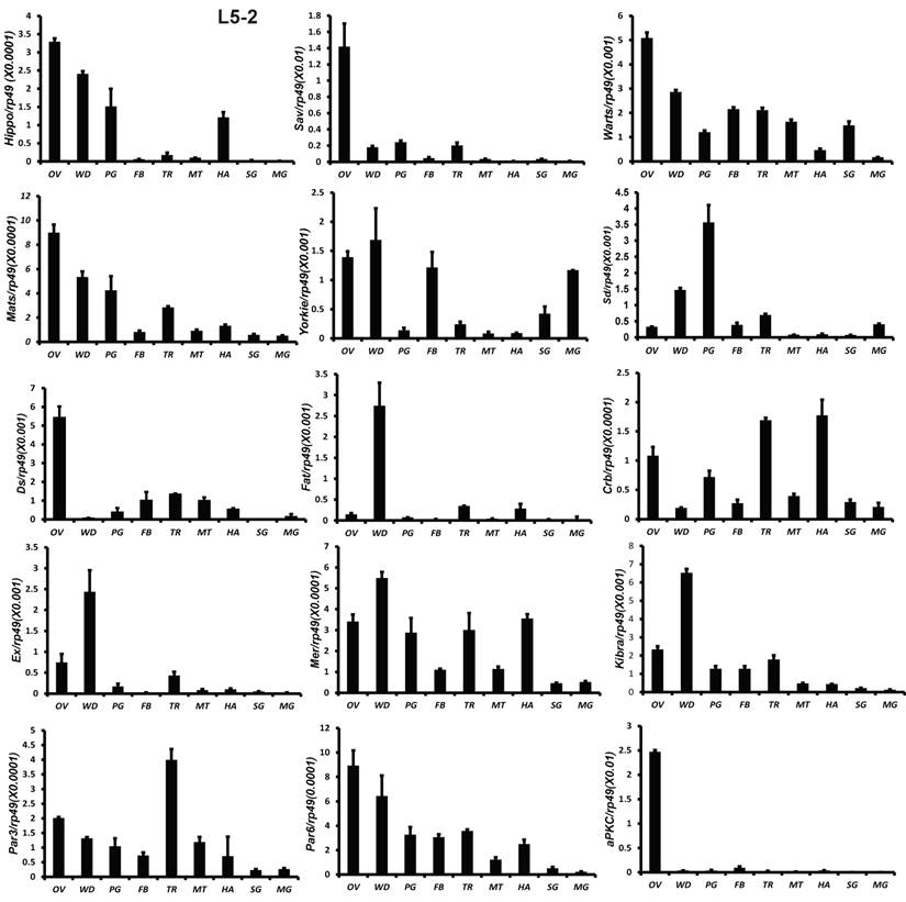 Int J Biol Sci Image