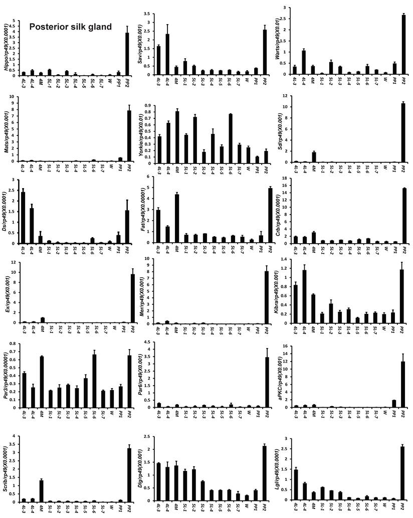 Int J Biol Sci Image