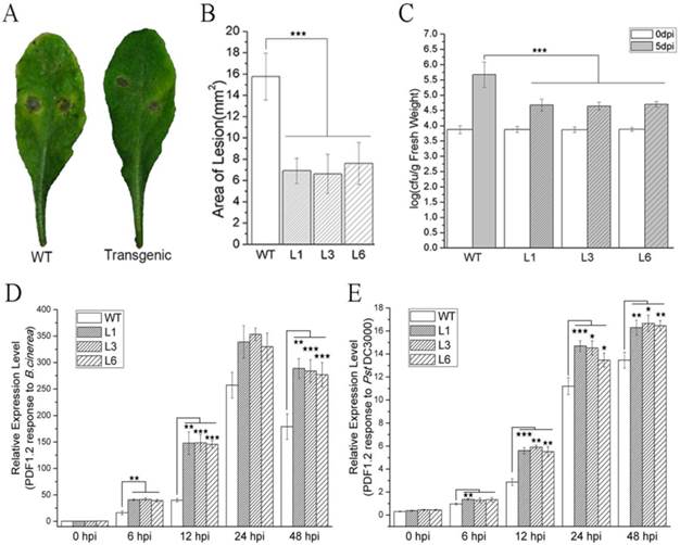 Int J Biol Sci Image