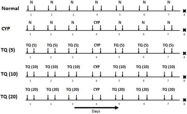 Int J Biol Sci Image