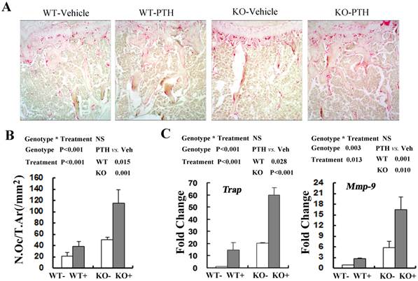 Int J Biol Sci Image