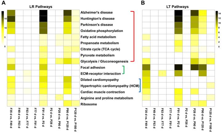 Int J Biol Sci Image