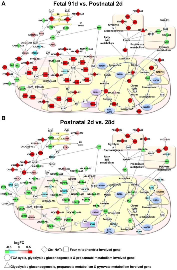 Int J Biol Sci Image