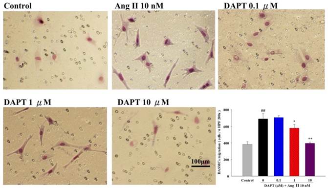 Int J Biol Sci Image