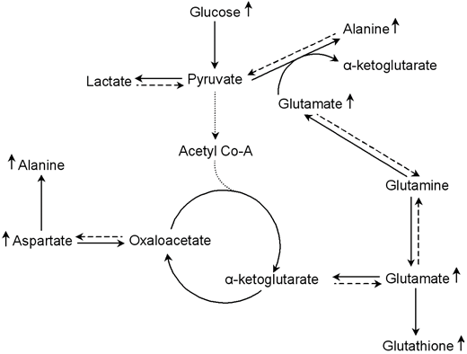 Int J Biol Sci Image