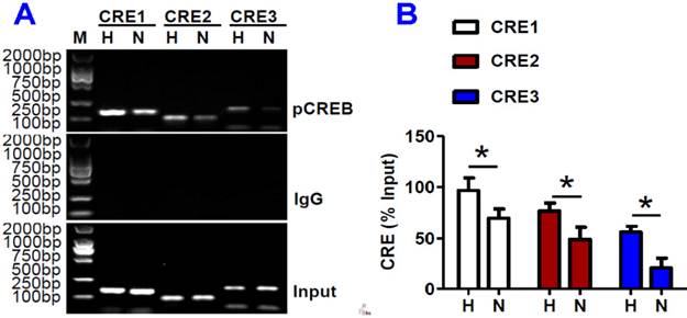 Int J Biol Sci Image