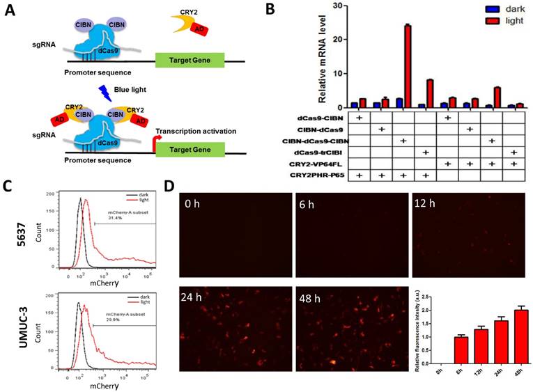 Int J Biol Sci Image