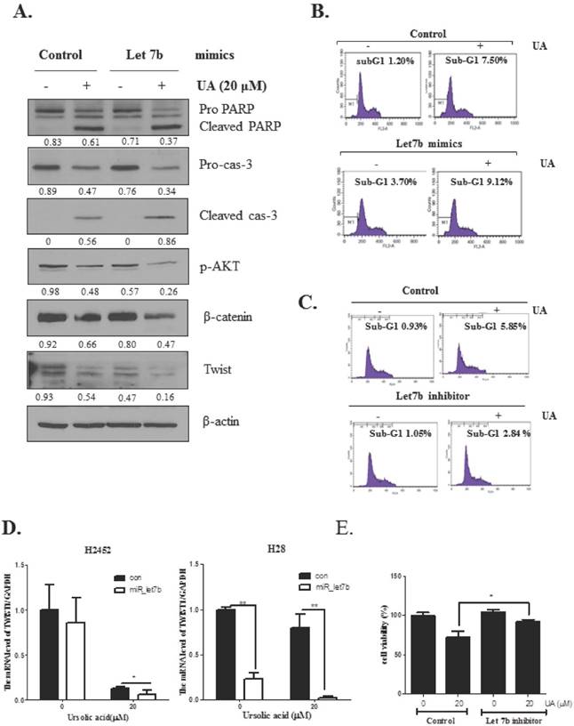 Int J Biol Sci Image