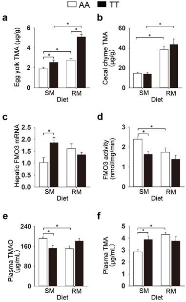 Int J Biol Sci Image