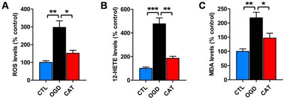 Int J Biol Sci Image