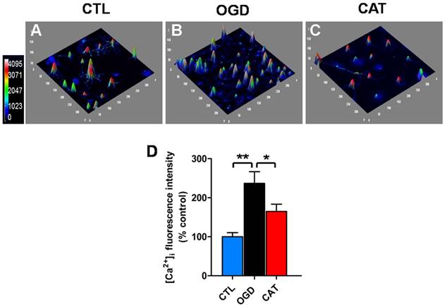 Int J Biol Sci Image