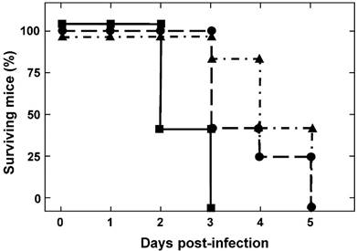 Int J Biol Sci Image