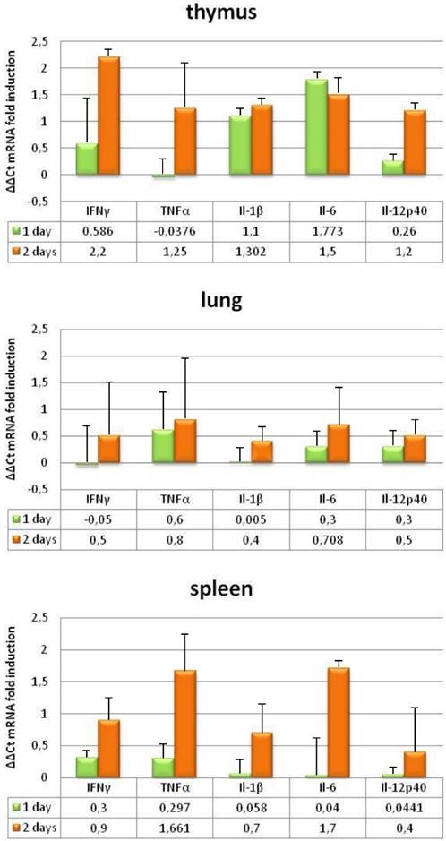 Int J Biol Sci Image