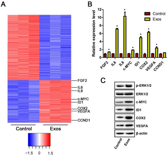 Int J Biol Sci Image