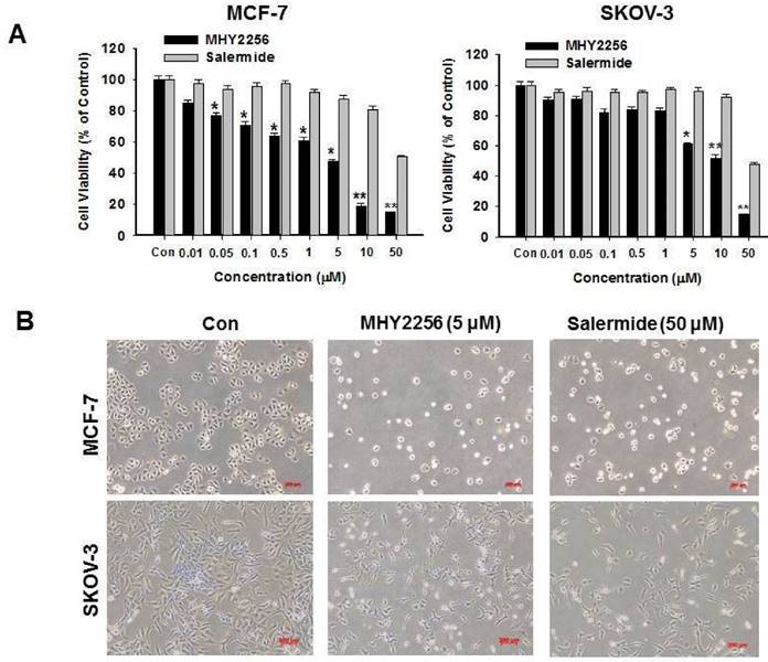 Int J Biol Sci Image