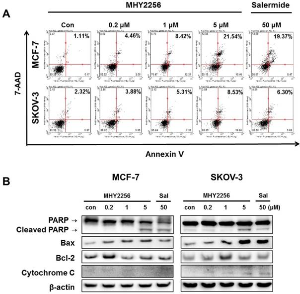 Int J Biol Sci Image