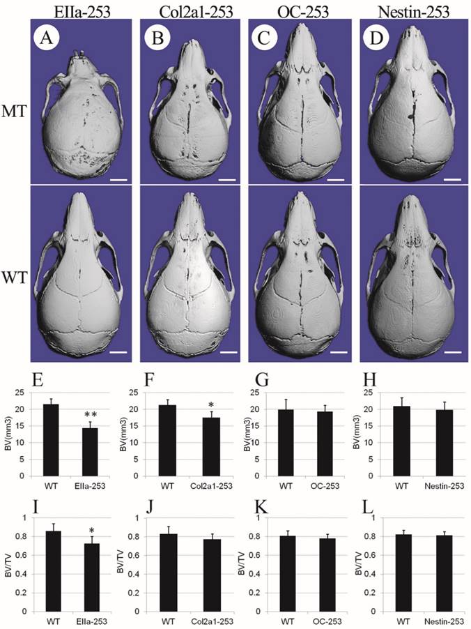 Int J Biol Sci Image