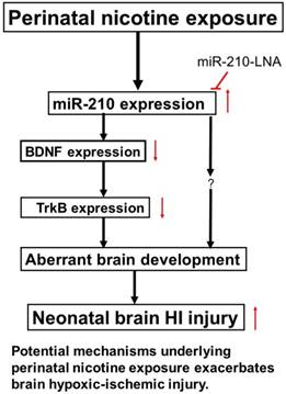 Int J Biol Sci Image