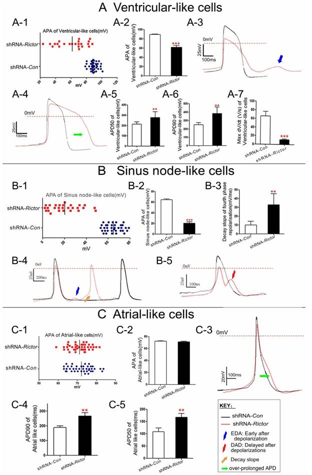 Int J Biol Sci Image