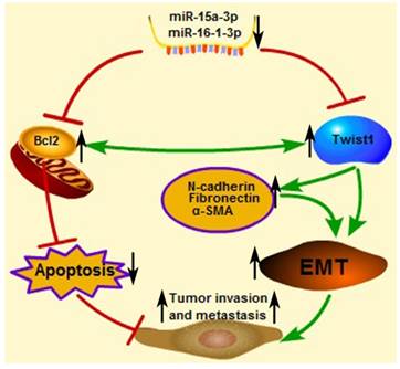 Int J Biol Sci Image