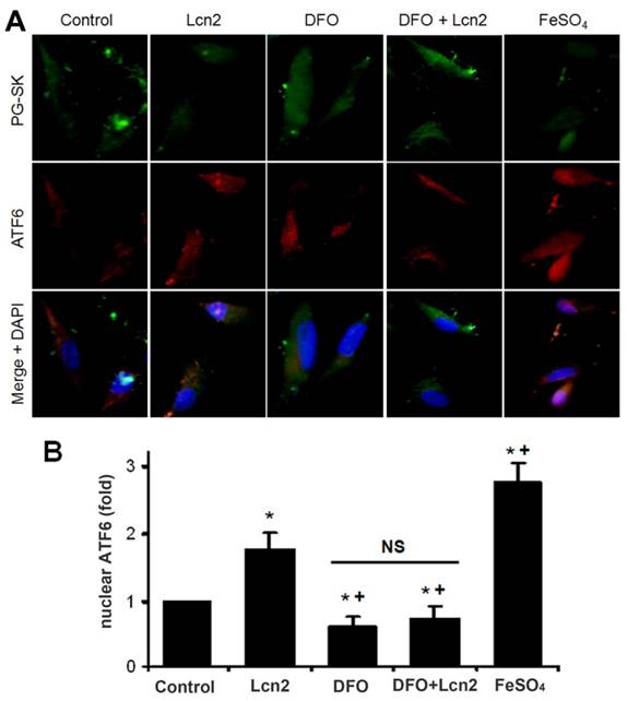 Int J Biol Sci Image