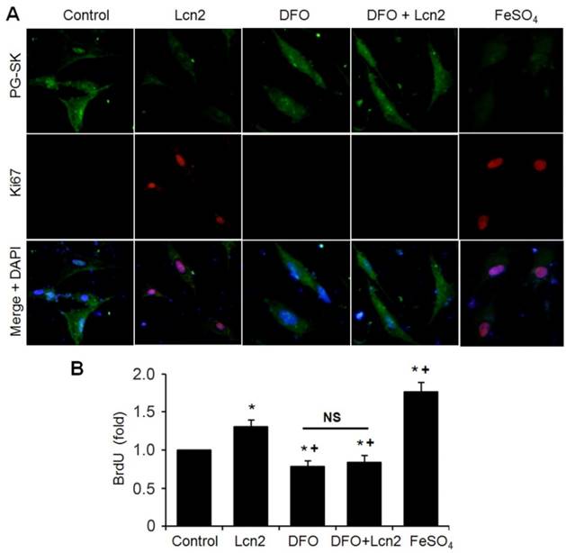 Int J Biol Sci Image