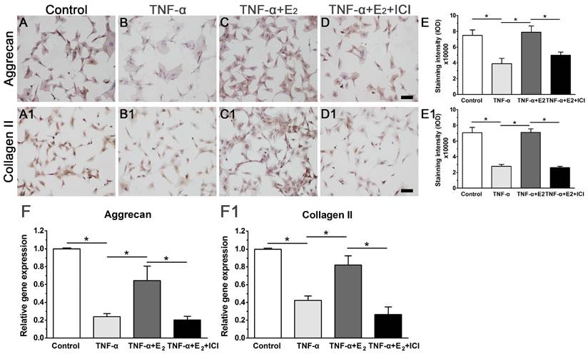 Int J Biol Sci Image