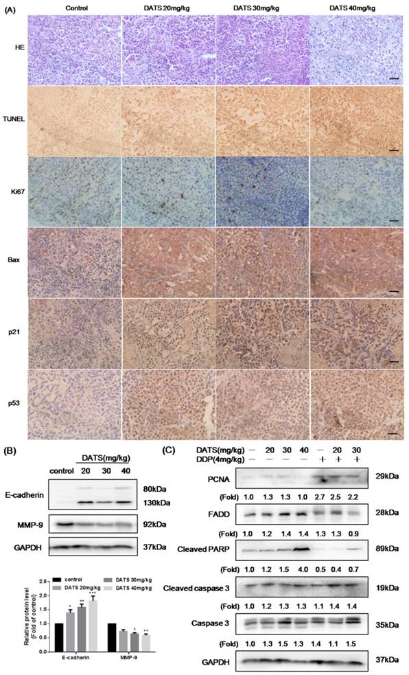 Int J Biol Sci Image