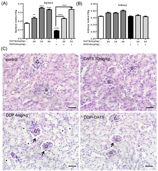 Int J Biol Sci Image