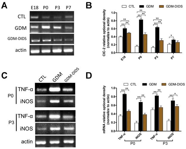 Int J Biol Sci Image