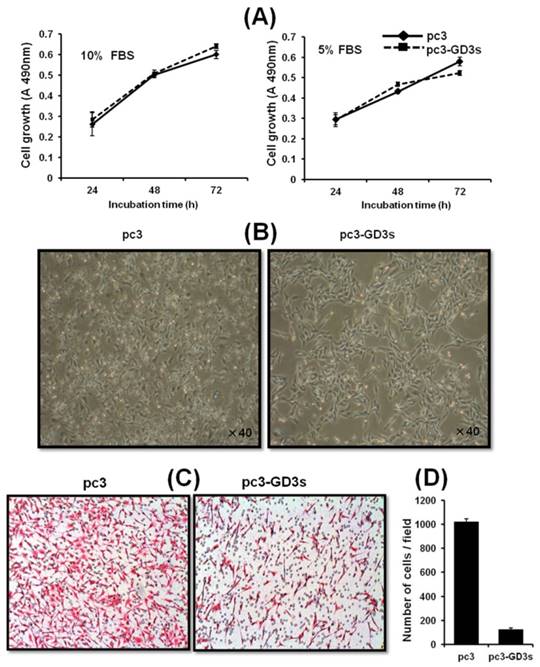 Int J Biol Sci Image