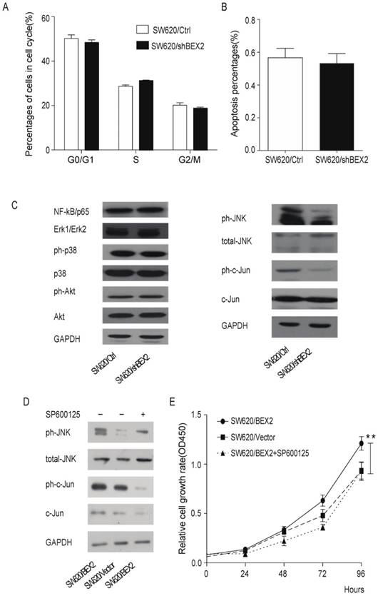 Int J Biol Sci Image