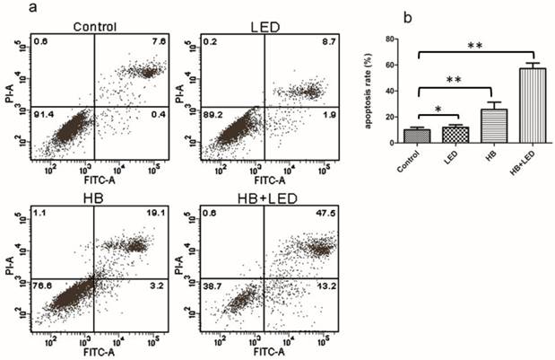 Int J Biol Sci Image