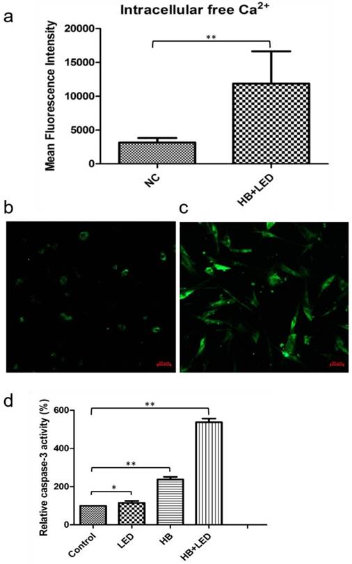 Int J Biol Sci Image