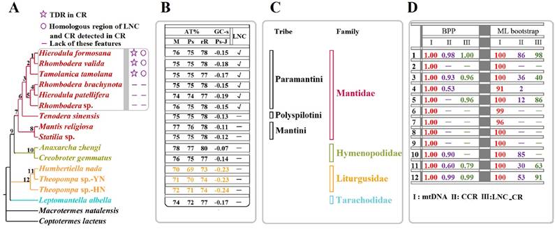 Int J Biol Sci Image