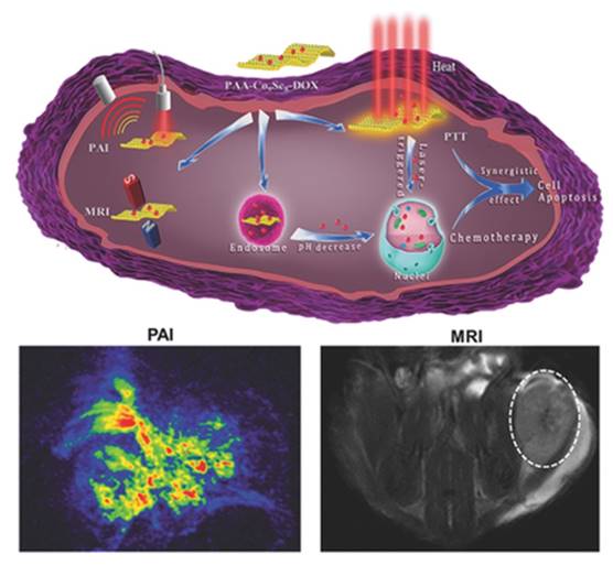 Int J Biol Sci Image