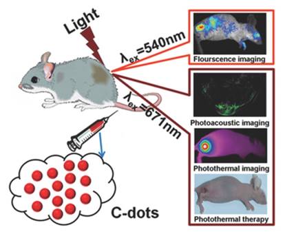 Int J Biol Sci Image