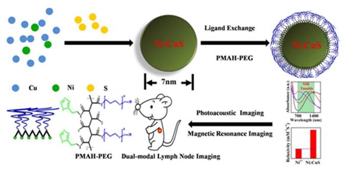 Int J Biol Sci Image