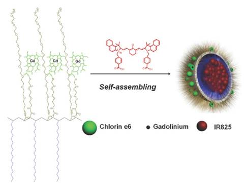 Int J Biol Sci Image