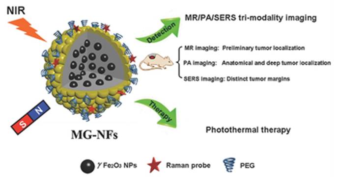 Int J Biol Sci Image