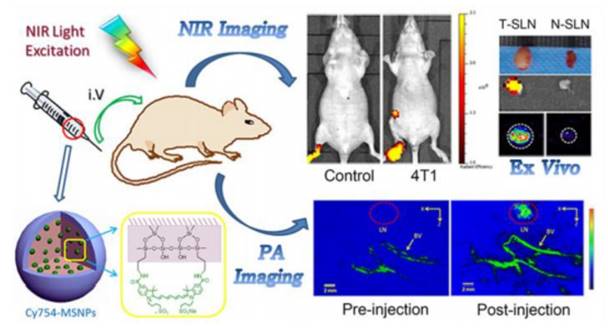 Int J Biol Sci Image