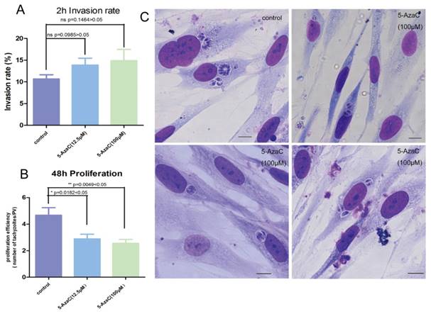 Int J Biol Sci Image